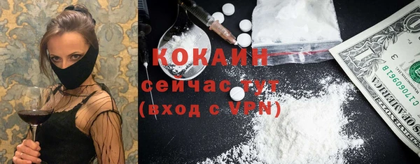 мдпв Белокуриха