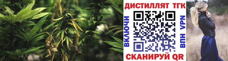 Дистиллят ТГК Wax  магазин продажи   Котельники 